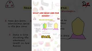 What are Near And Far Zones?