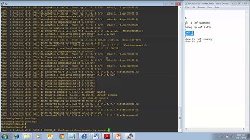 Cisco Network CCNP MPLS - Express Forwarding