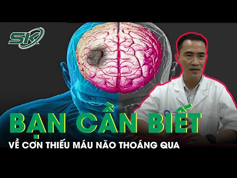 Video: Tại sao Mèo đi điên cho Catnip?