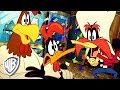 Looney Tunes in italiano | Scene Di Combattimento | WB Kids