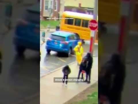 On-duty crossing guard assaulted outside of Pennsylvania elementary school