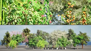 Game Ready Fruit Trees pack 01 _ 3D Animation in unreal engine