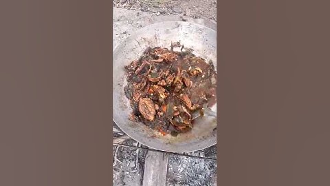 Bố câu khìa nước dừa món ngon miền quê - Ngọc vũ vlog #ẩmthực #anuong