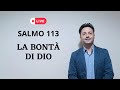 Bont di dio verso i bisognosi salmo 113  un salmo per te 