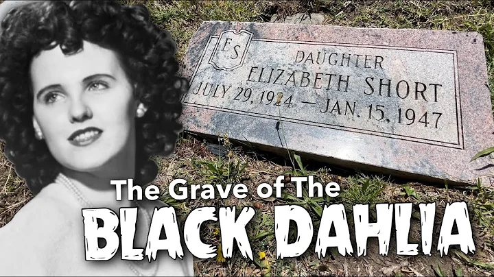 The Grave of The Black Dahlia   4K
