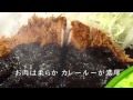 足柄サービスエリア(下り)とんかつ新宿さぼてんで昼食