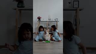 THEY ARE NOT YOUR FAMILY. 👤🚫 #creepy #psychology #shorts