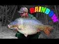 RAINBOW - The worlds most EXTREME CARP FISHING