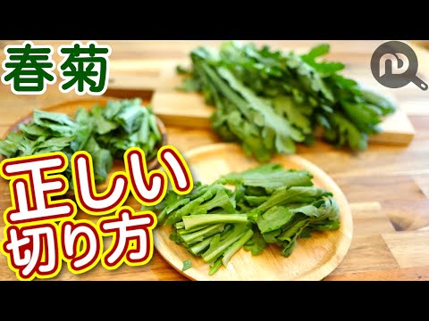春菊の切り方　ざく切りは間違い？春菊の正しい切り方　N.D.Kitchen Basic