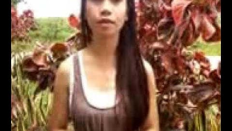 LIMITED EFFECTS THEORY