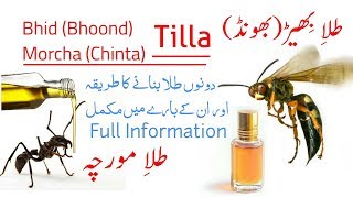 Roghan Bhond (Bhidh) & Ant Oil - Tila Muqavi Khas Azam Oil - Pure Oils