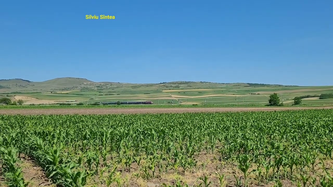 Cistei - Crăciunelu de Jos: IC 532 train (Cluj Napoca - Bucureşti Nord)
