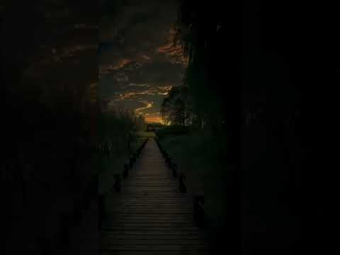 اكتب شيئا تؤجر عليه القرآن الكريم حالات واتس محمد صديق المنشاوي