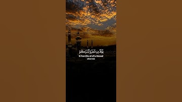اكتب شيء تؤجر عليه 😴💚 قران كريم | ياسر الدوسري