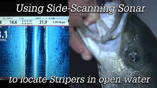 Using Side-Scanning Sonar to Locate Stripers in Open Water