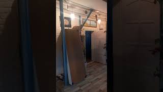 Кот и рыбка на потолке