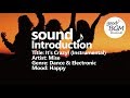 Dance &amp; Electronic [ BGM ] [ ダンス ] [ good music ] [ 作業用 ] [ 音楽 ] It&#39;s Crazy! (Instrumental) - Mise