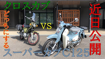 予告！！スーパーカブC125　VS　クロスカブ110　インプレ　てるてるＢＫ！