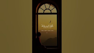 تلاوه من القران الكريم ♥️