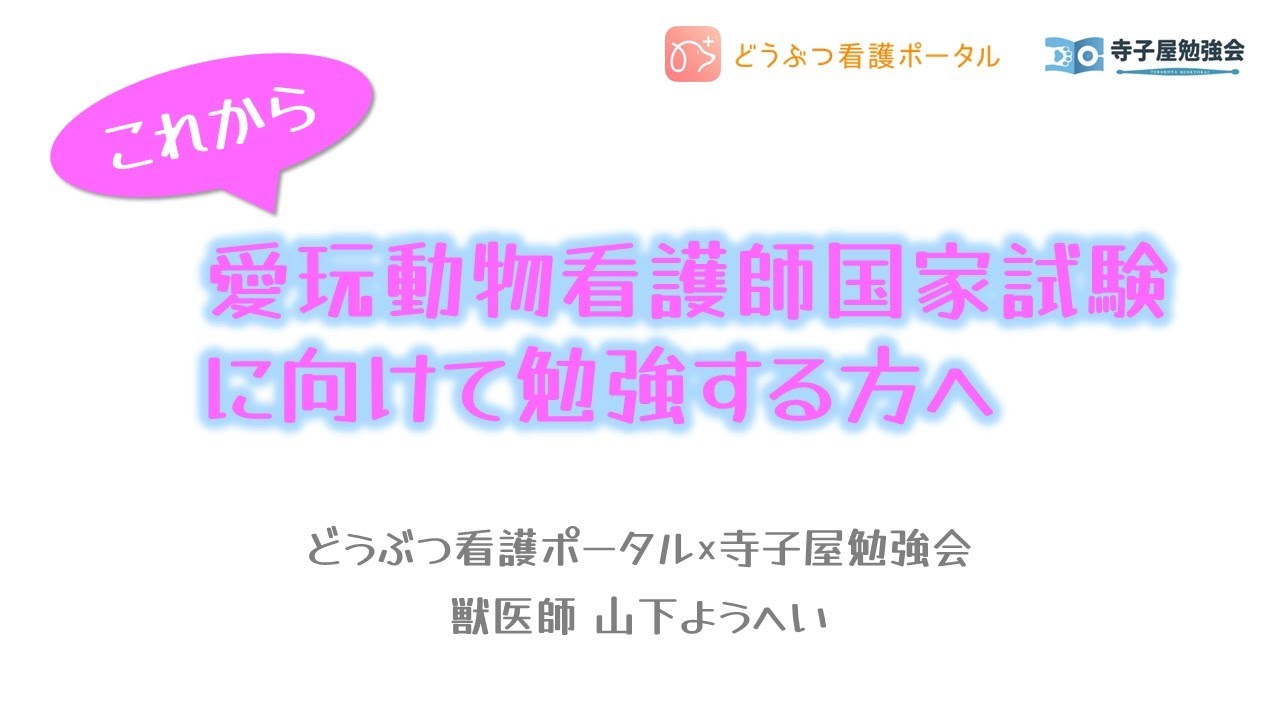 どうぶつ看護ポータル×寺子屋勉強会 | 愛玩動物看護師国家試験を目指し