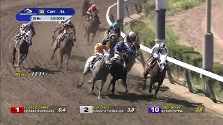 Vidéo de la course PMU PREMIO INFIDELE