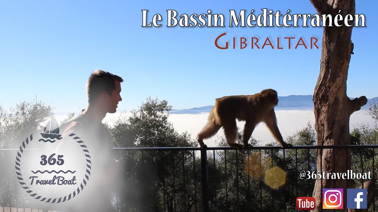 LE ROYAUME DES SINGES -GIBRALTAR