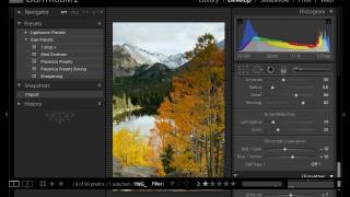 Yellow Wood Guiding - Lightroom 2 Develop module Part 3