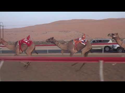 الشوط 5 ريماس ل محمد حمود راشد طربيش المنصوري توقيت 4 43 3