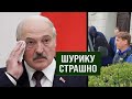 «Эскадроны смерти» сдают диктатора Лукашенко. И это только начало!
