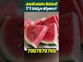 Best Food to Boost Testosterone #shorts  #ytshorts #testosteroneboost #erectiledysfunction