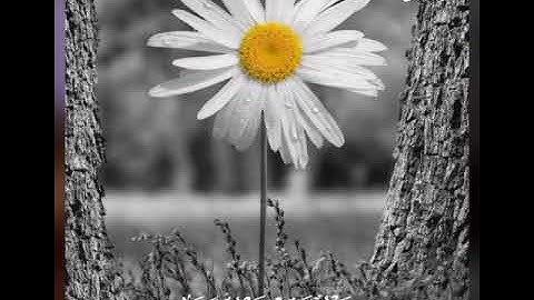 سورة النور كاملة بدون إعلانات بصوت الشيخ عبد الباسط محمد عبد الصمد 💕