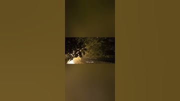 تلاوة تريح القلب 🤍. #1if_قرآن