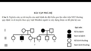 PHƯƠNG PHÁP GIẢI BÀI TẬP PHẢ HỆ