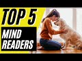 5 Dog Breeds That Can READ YOUR MIND!