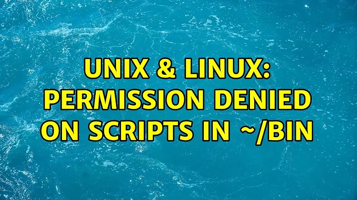 Unix & Linux: permission denied on scripts in ~/bin