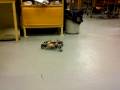 4 legged robot walden test walk