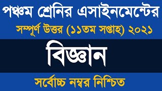 Class Five Science Assignment 2021 ৷ Class 5 Biggan Homework 11 Answer 2021