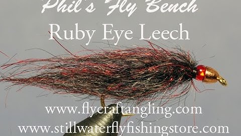 Ruby Eyed Leech