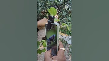 Finding Little Creature 😍 with my Mobile 🔥 #macrophotography #photography #shorts #ytshorts