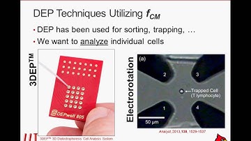 Introduction to isomotive dielectrophoresis