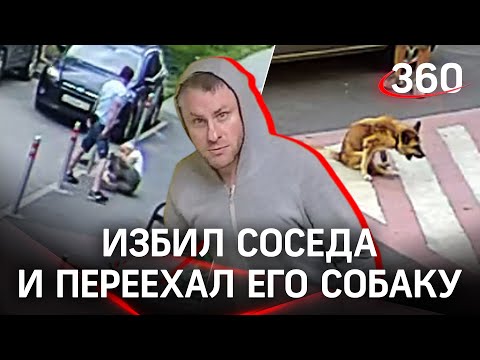 «Наркоман» избил соседа и переехал его собаку под прицелом видеокамеры