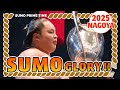 Nagoya Sumo SurpriseKotoshoho’s Underdog Triumph!