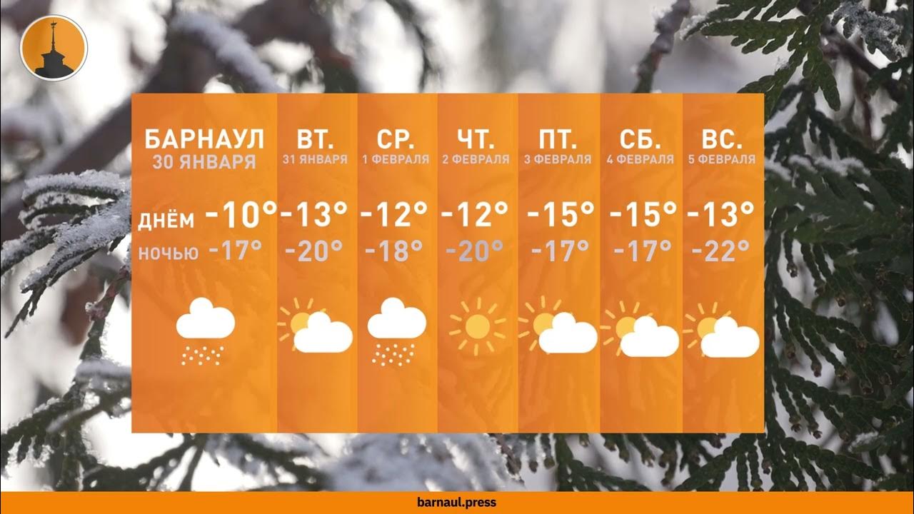 Погода барнаул на 10 барнаул на 14. Барнаул январь 2023. Климат Барнаула. Погода на январь 2023. 30 Января 2023.