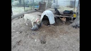 Addy, Rita, & Shelby