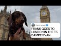 FRANK GOES TO LONDON IN THE T5 CAMPER VAN