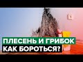 Грибок и плесень внутри помещения | Как очистить и защитить поверхность