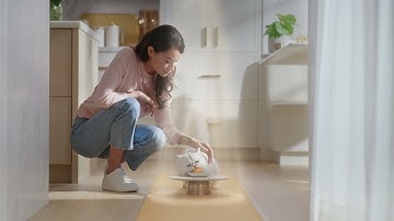 A Ray of Light in Every Bite: Cat Food that Shines