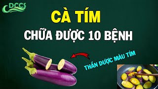 Mỗi ngày 2 quả cà tím, 10 bệnh trong người hết sạch - DCCS