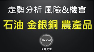 【2021.01.14】EP48 石油、金銀銅、農產品走勢分析。風險&機會! 20210114(卡爾先生)
