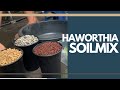 [ENG SUB] My Haworthia Soil Mix And Planting | DIY | Haworthia Soil Mix